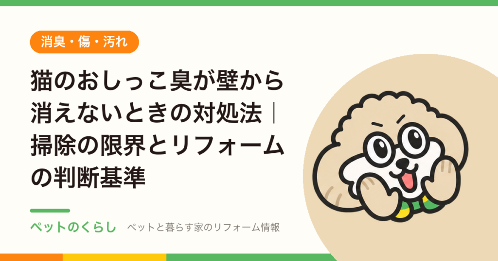 猫のおしっこ臭が壁から消えないときの対処法｜掃除の限界とリフォームの判断基準
