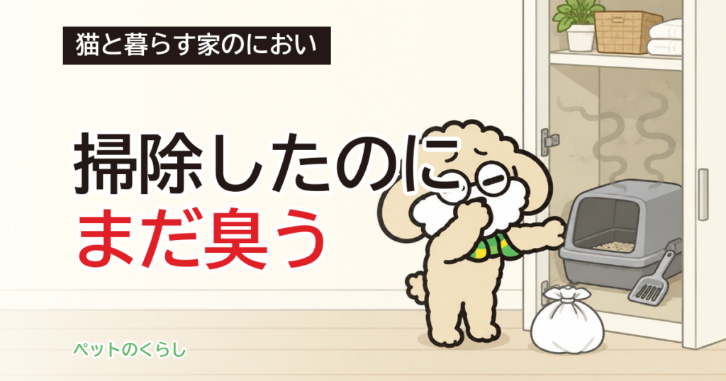 猫トイレの臭い対策｜消臭剤の前に、置き場所と大きさを疑ってみました