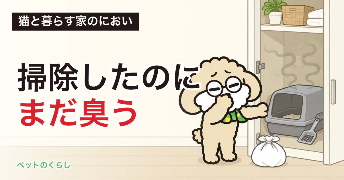 猫トイレの臭い対策｜消臭剤の前に、置き場所と大きさを疑ってみました