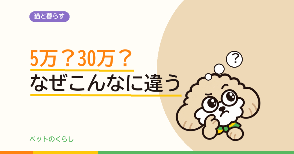 キャットウォークを造作する費用｜内訳・間取り別プラン・失敗しない寸法