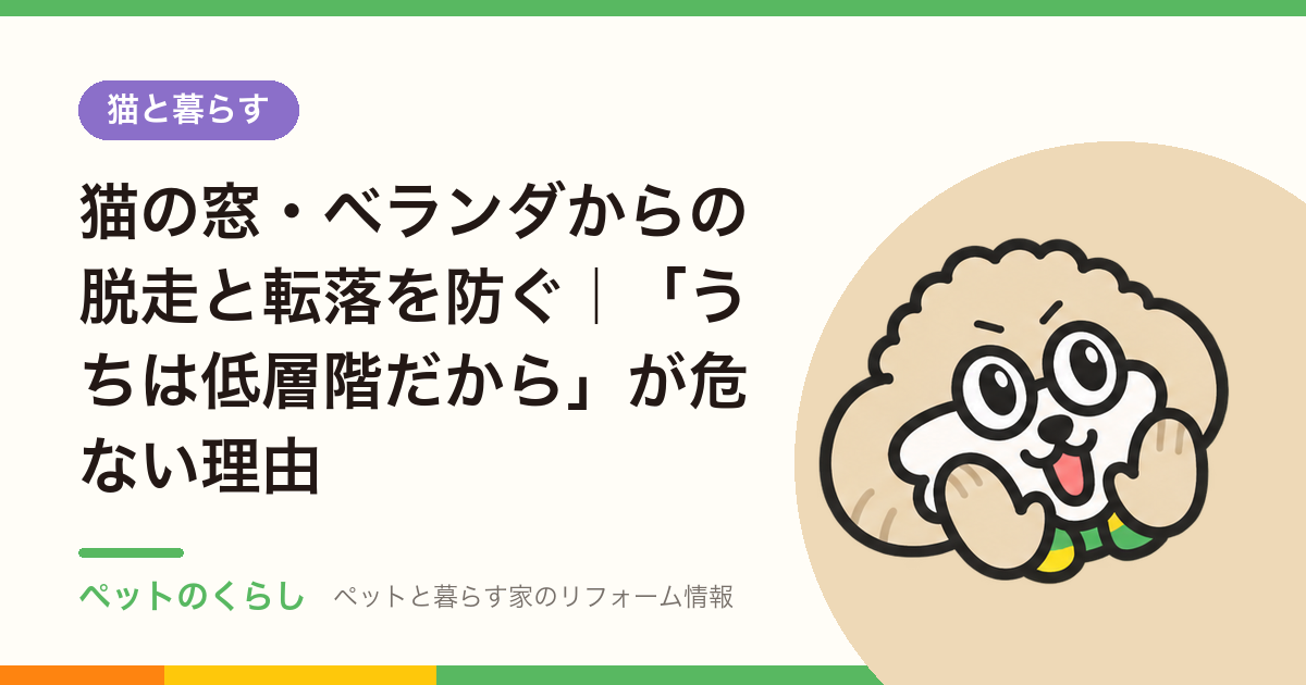 猫の窓・ベランダからの脱走と転落を防ぐ｜「うちは低層階だから」が危ない理由