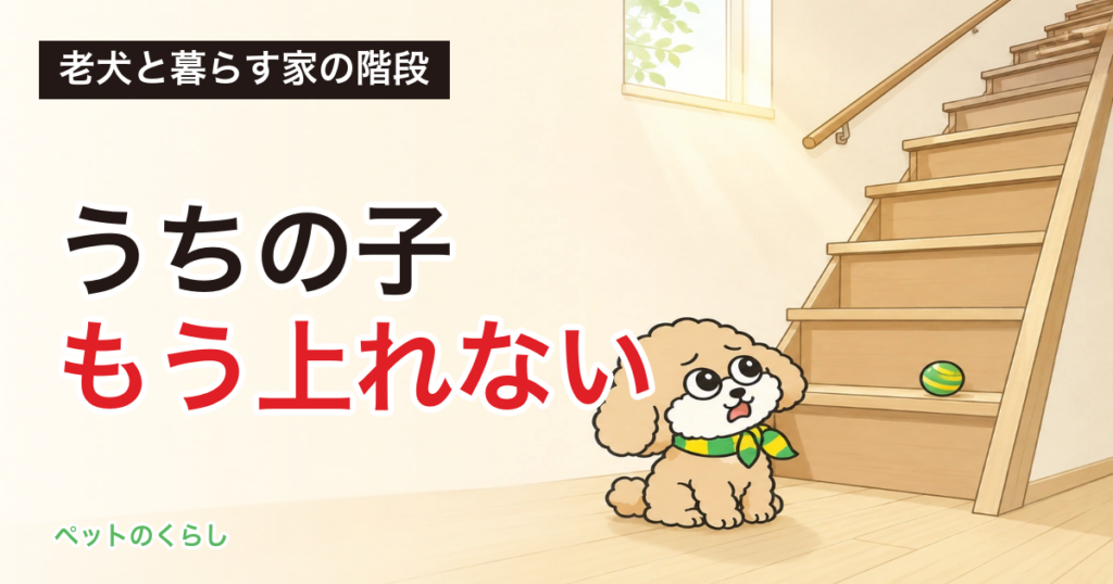 老犬が階段を上れなくなったら｜家の階段は法律上、老人ホームより急に作れると分かりました