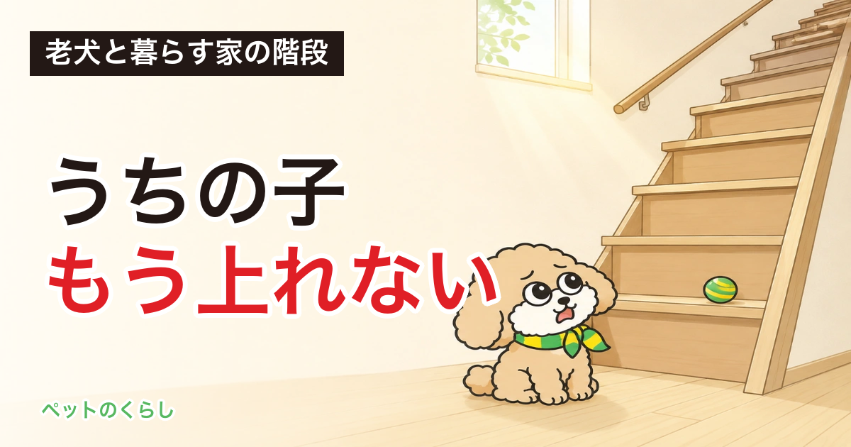 老犬が階段を上れなくなったら｜家の階段は法律上、老人ホームより急に作れると分かりました