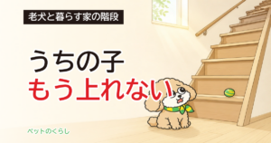 老犬が階段を上れなくなったら｜家の階段は法律上、老人ホームより急に作れると分かりました