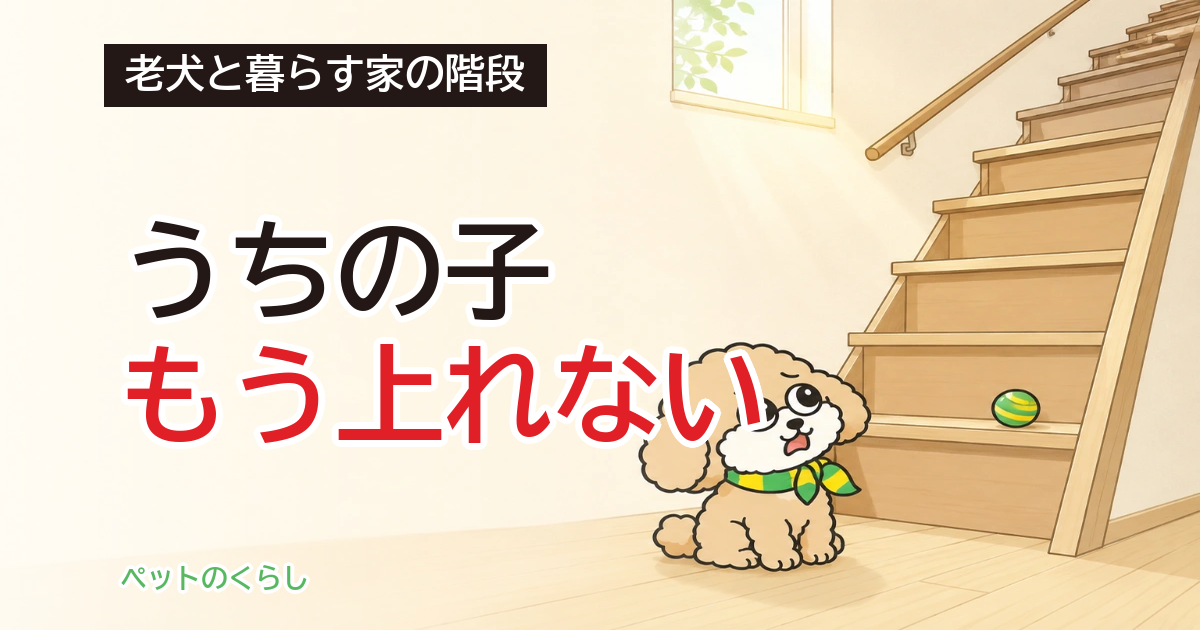 老犬が階段を上れなくなったら|家の階段は法律上、老人ホームより急に作れると分かりました