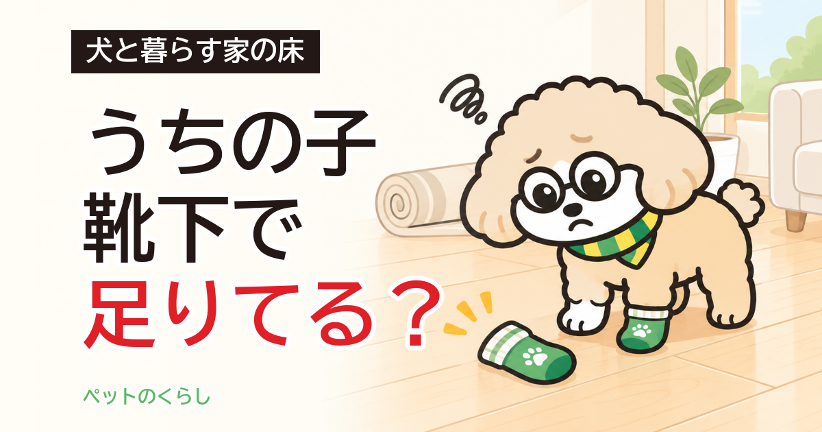 犬の滑り止め靴下は床の代わりになる？使える場面と限界