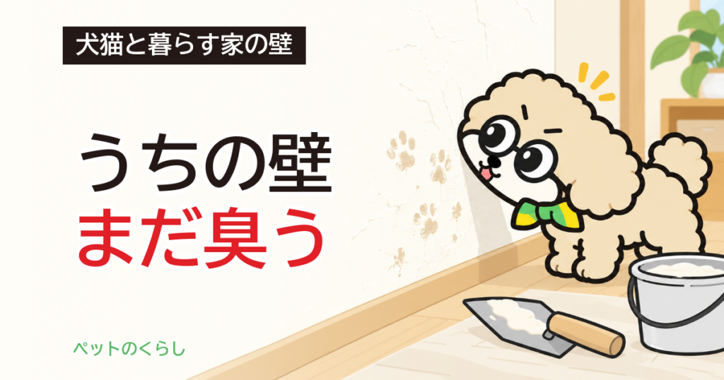 漆喰の壁とペット｜珪藻土との違いと調湿・消臭の見方