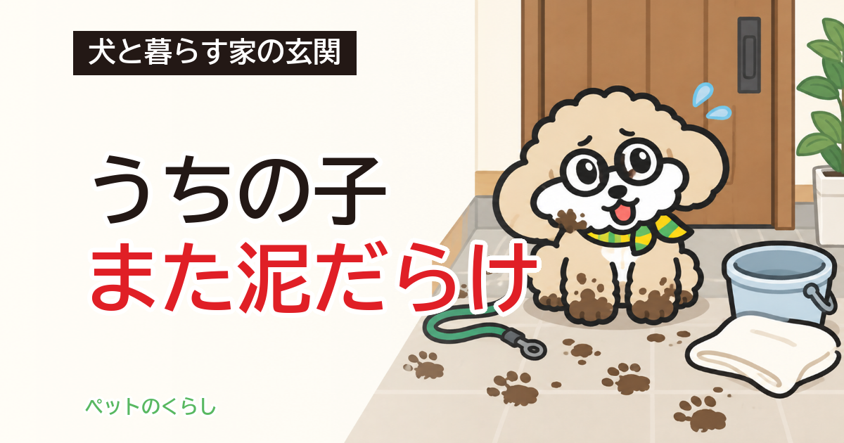 犬の足洗い場を玄関に｜費用の内訳と、設置できる家の条件