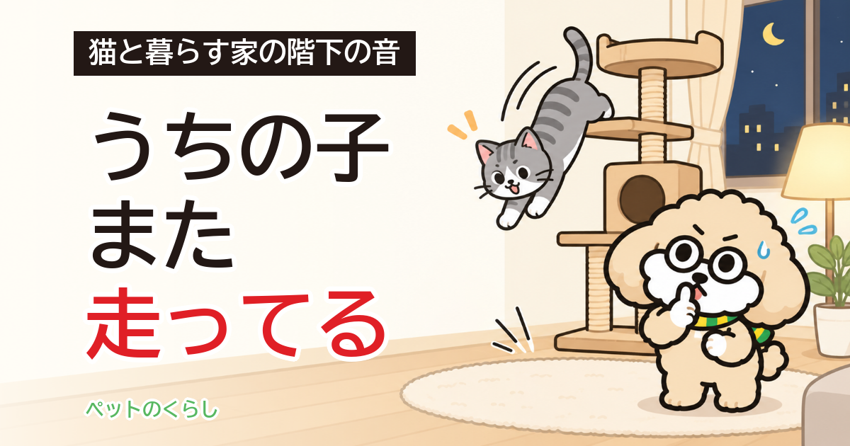 猫の足音の防音｜夜の運動会で階下に響く音を減らす順番