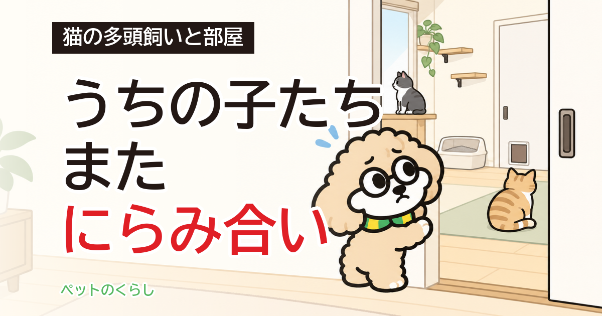 猫の多頭飼いで部屋を分けるには|間仕切りと逃げ場のつくり方