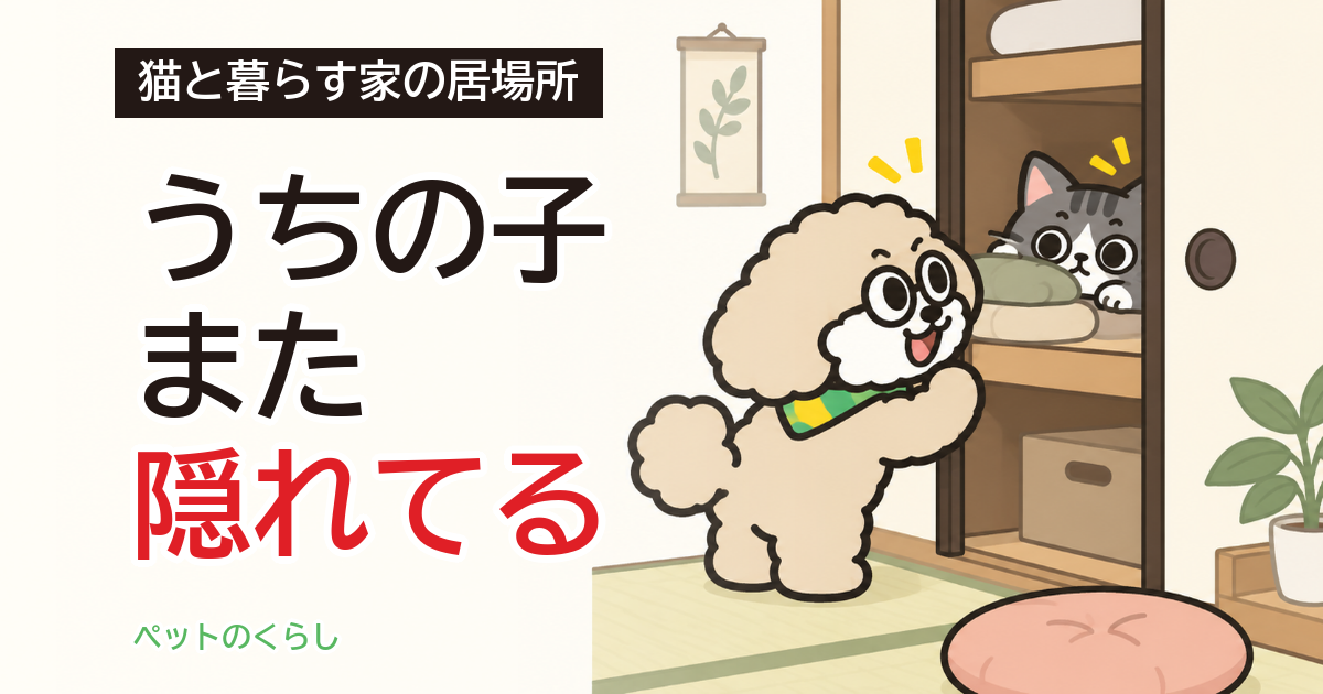 猫の隠れ家は必要？置き場所と押入れ・階段下の使い方