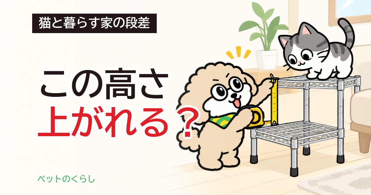 猫の階段を100均で手作り｜段の高さと耐荷重で決める