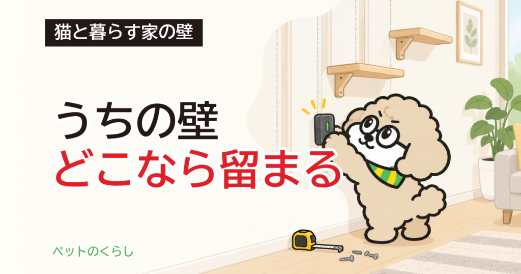 壁の下地補強｜キャットステップを安全に付ける位置と方法