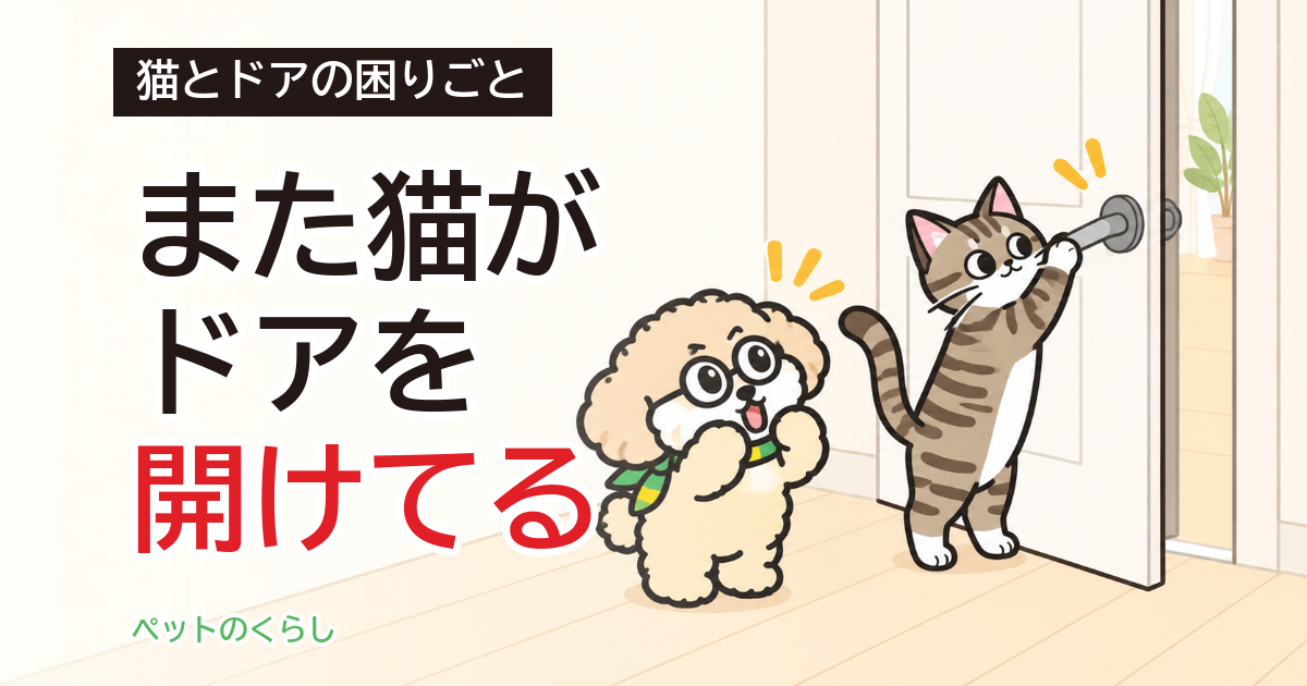 猫がドアを開けっ放し｜開けさせない方法と費用の目安