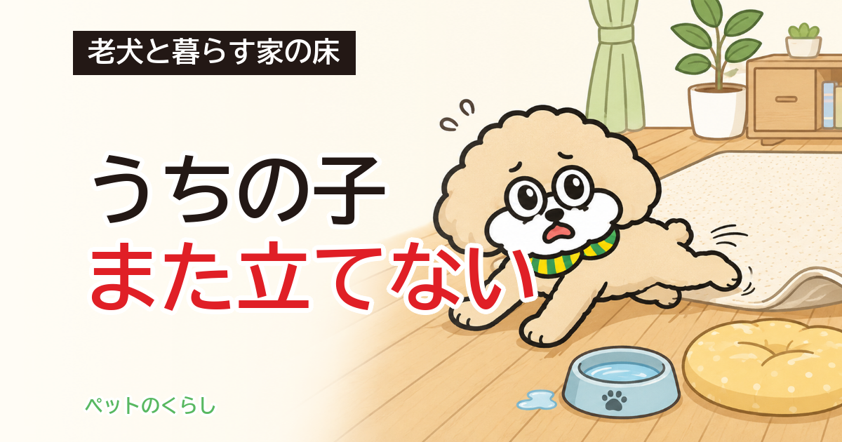 老犬がフローリングで滑る｜床の「合格ライン」を調べたら、一般フローリングは歩き出しの下限にも届いていませんでした