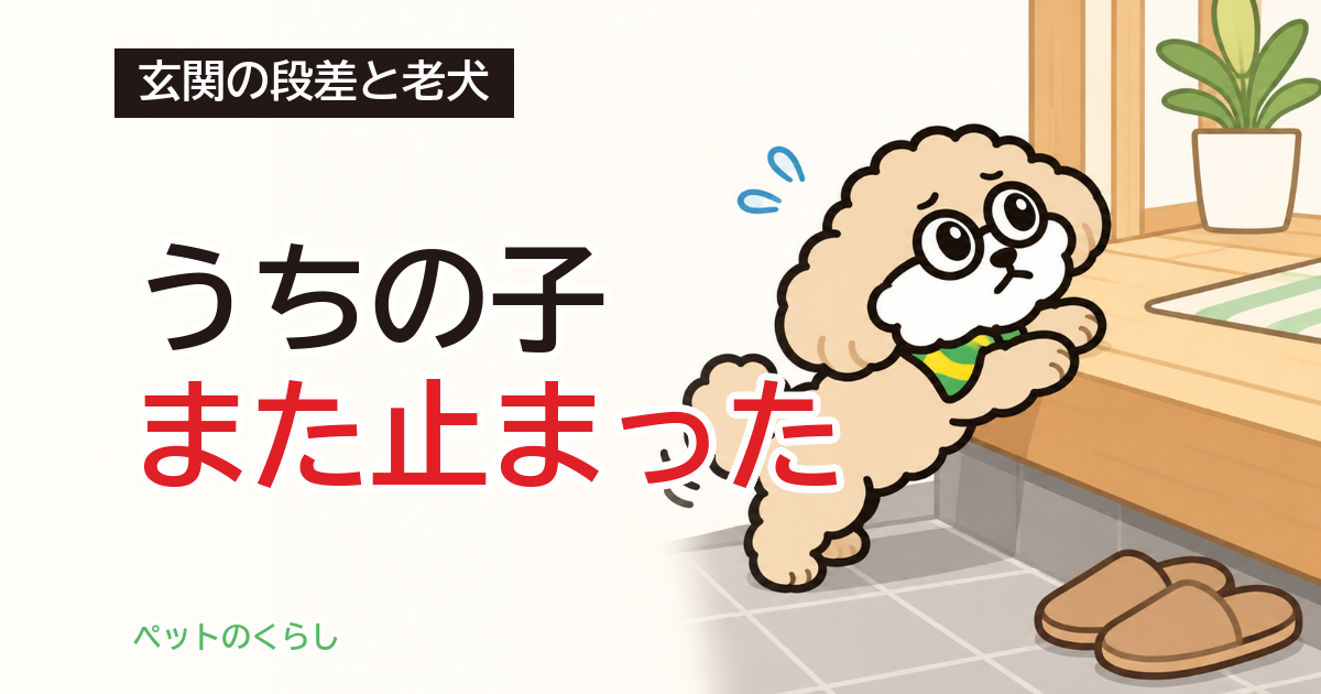 犬用スロープの選び方｜安全な勾配と、玄関・ソファの段差の直し方