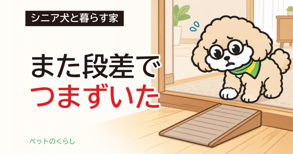 ペットのバリアフリー｜老犬の段差と床、人の改修との違い