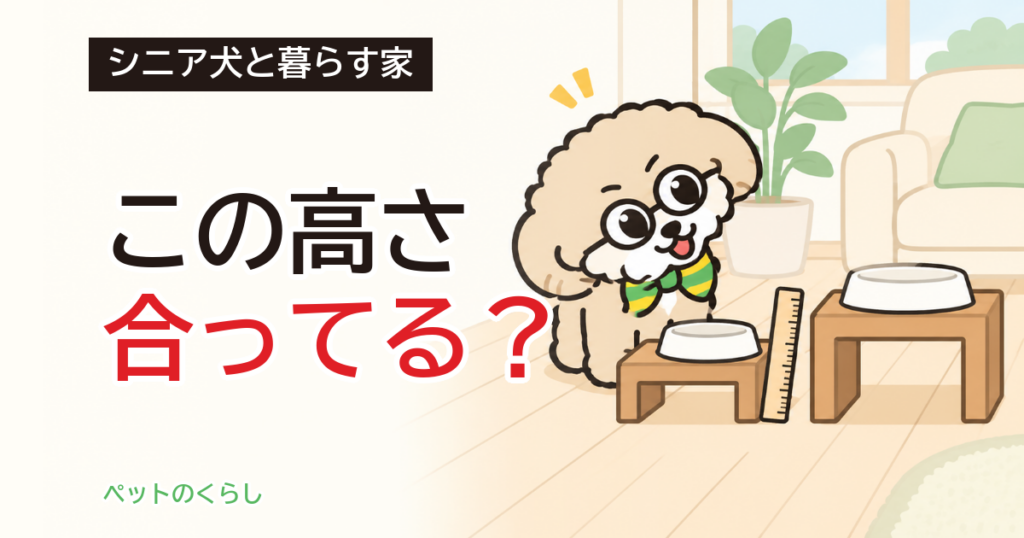 シニア犬の食器台｜高さの決め方と、床とセットで考えること