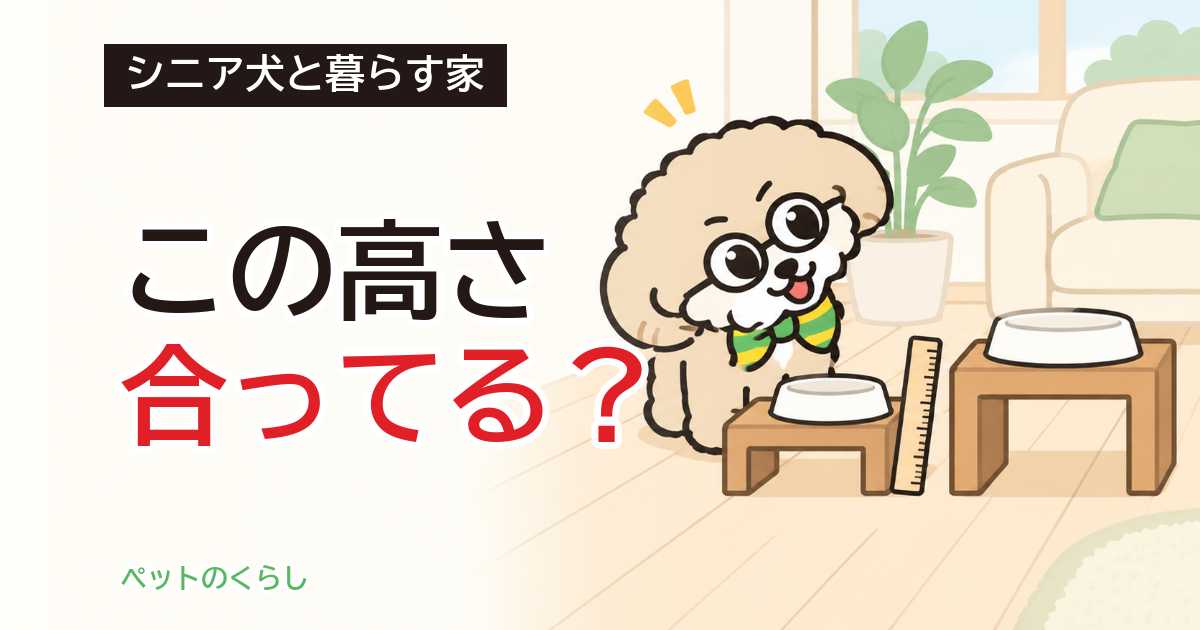 シニア犬の食器台｜高さの決め方と、床とセットで考えること