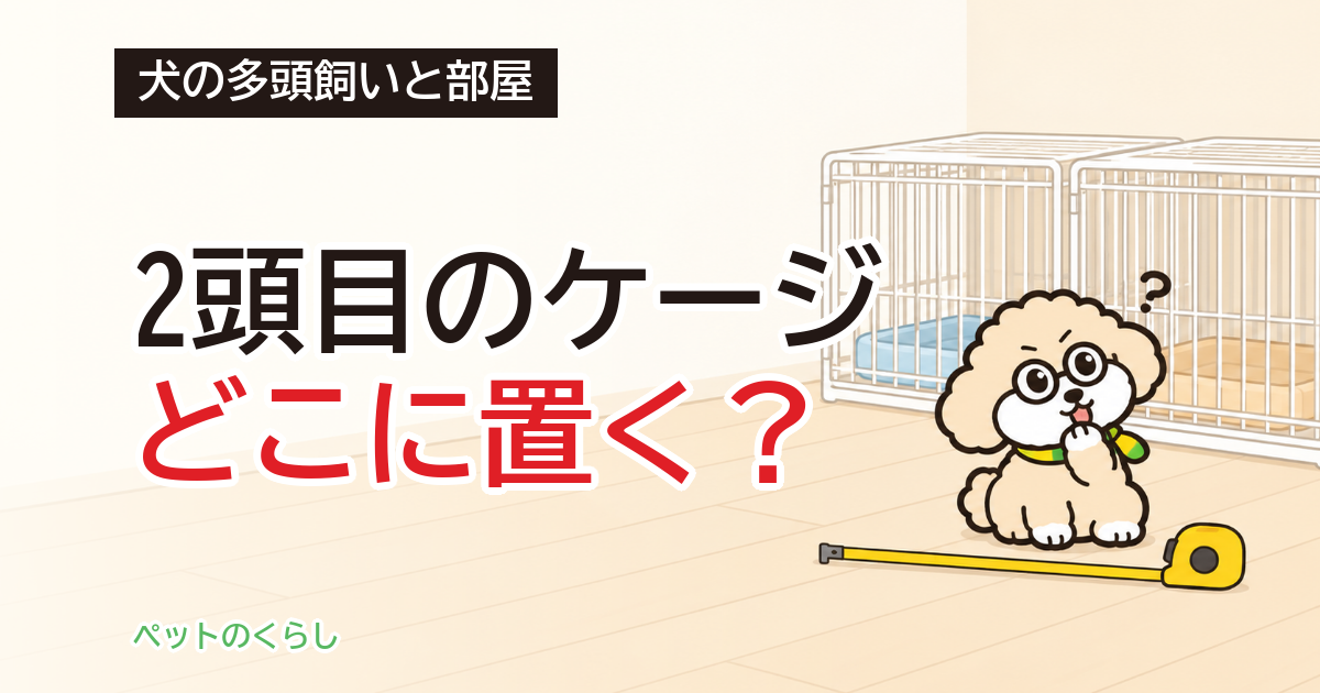犬の多頭飼いの部屋レイアウト｜ケージの置き方と分ける場所