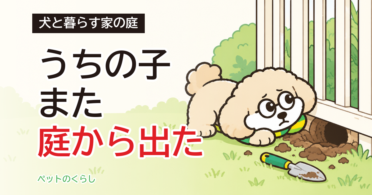 犬の庭の柵は何cm?高さの決め方と、下からの脱走対策