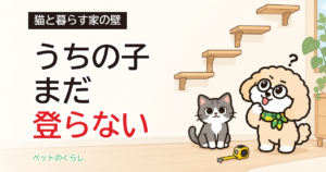 キャットウォークの後悔｜猫が使わない理由と、直せる作り方