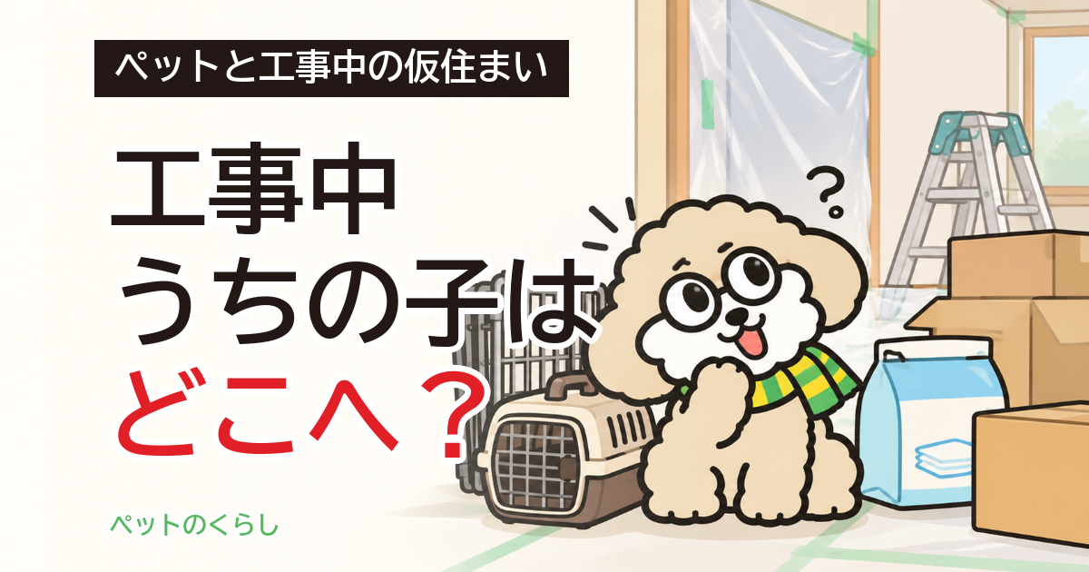 リフォームの仮住まいでペット可を探す｜費用と工期が延びたとき