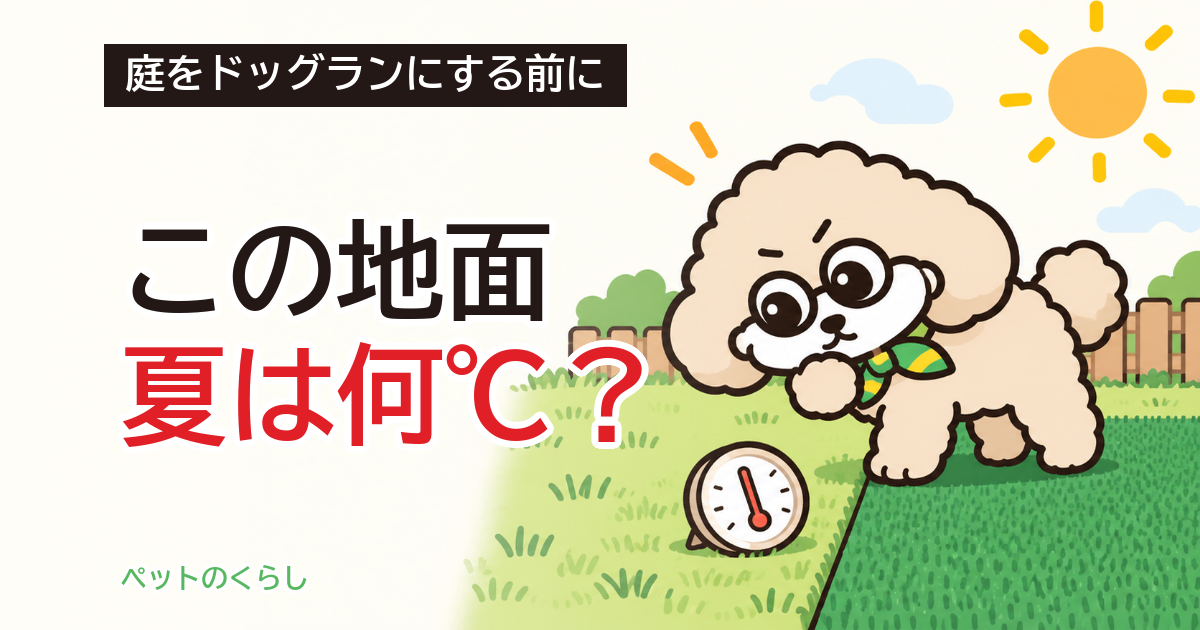庭のドッグランで後悔しないために｜広さ・地面・柵の高さ