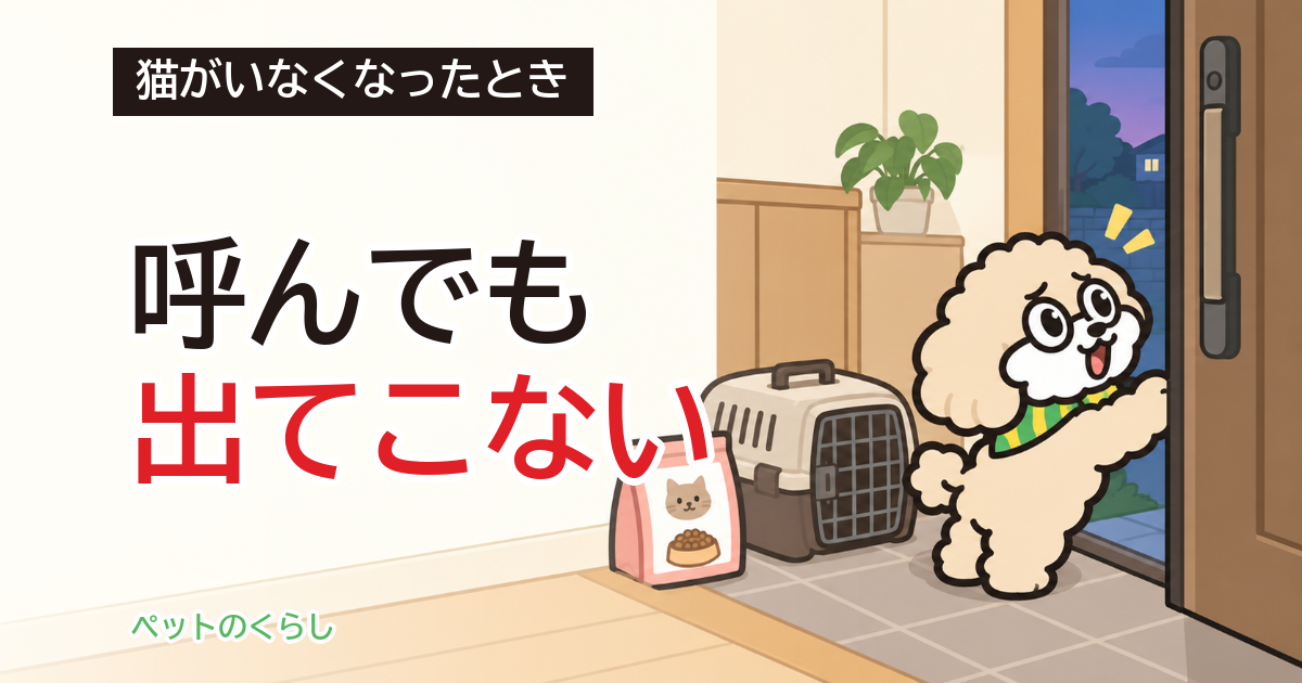 猫の脱走でおびき寄せる音|鳴らす前に家ですること