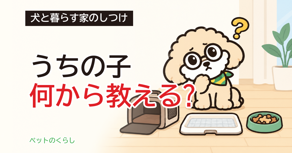 犬のしつけの順番｜何から教えるかと、家の準備
