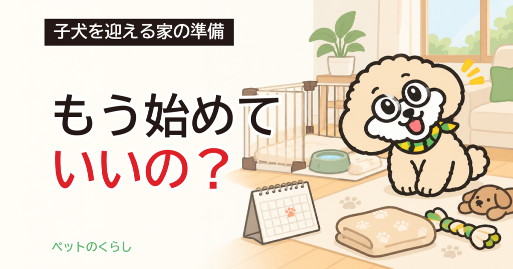 犬のしつけはいつから？教室に通える時期と家の準備