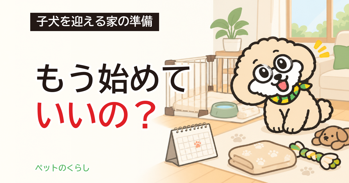 犬のしつけはいつから？教室に通える時期と家の準備