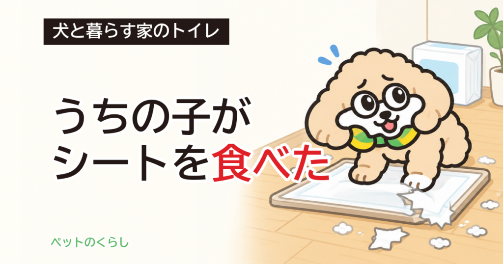犬がトイレシートを食べた｜動物病院への連絡と家の対策