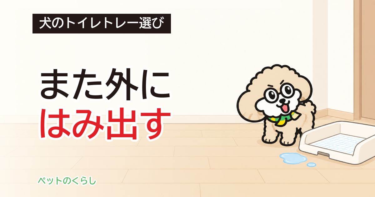 犬のトイレトレーのはみ出し防止｜囲うべきかと高さの選び方