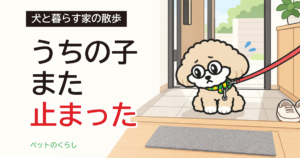 犬の散歩のしつけ｜歩かないときに家の側で見ること