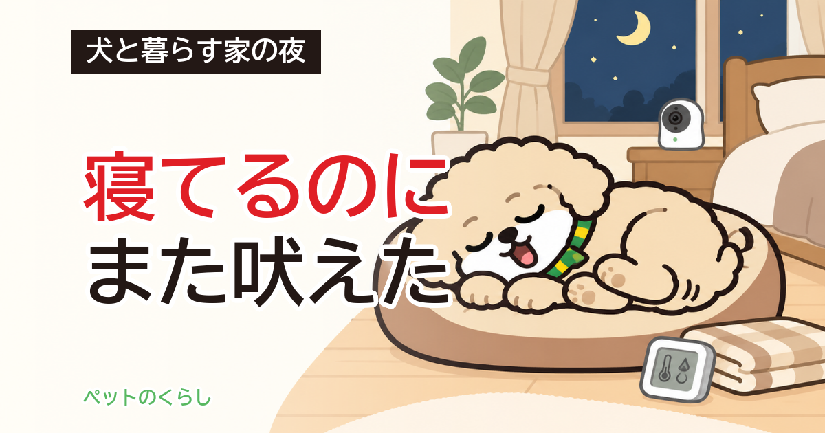 犬が寝ながら吠える｜受診の目安と、家で見直す場所