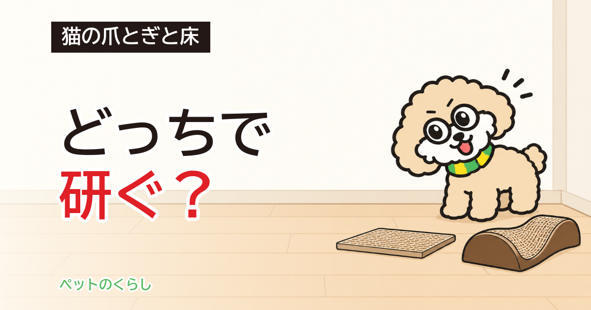 猫の爪とぎマット｜床に置く前に見る素材と厚み