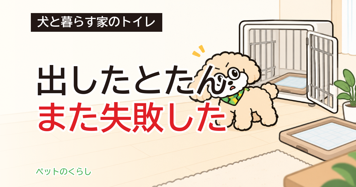 犬のトイレの失敗｜ケージから出すと起きる理由と家の条件