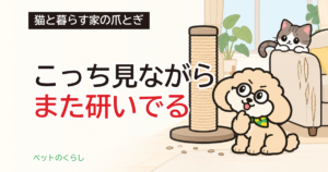 猫の爪とぎはなぜ？理由の見分け方と家の見直し方