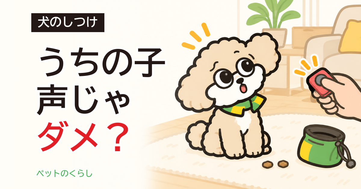 犬のしつけにクリッカー｜言葉との違いと家で練習する場所