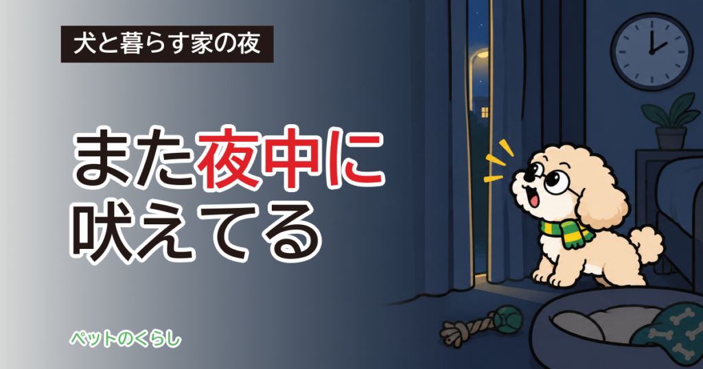犬が夜中に吠える｜夜だけ起きる刺激と切り分けの順番