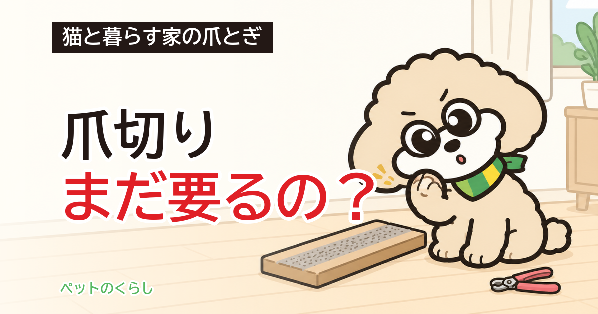 猫の爪研ぎヤスリ|爪切り不要は本当?削れない爪と選び方