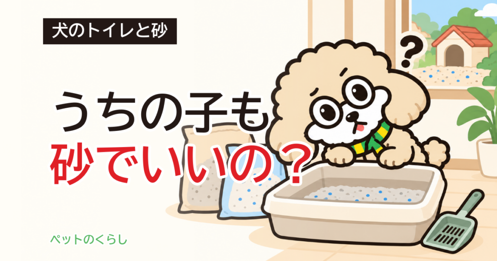 犬のトイレに砂は使える？｜猫砂と犬用の敷砂の違い