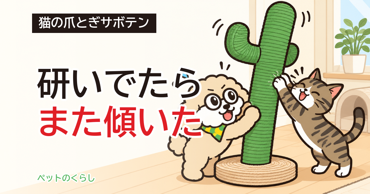 猫の爪とぎサボテン｜倒れにくさは高さ・台座・重さで見る