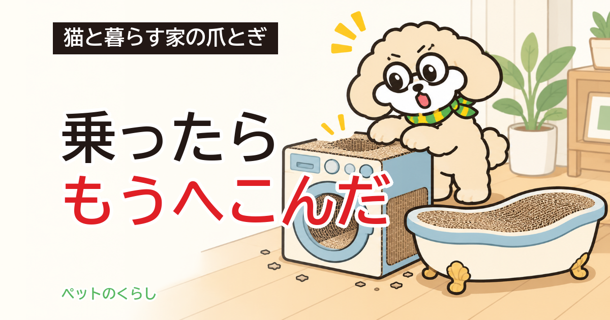 猫の爪とぎ かわいい形｜乗れるかは耐荷重と重さで見る