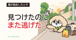 猫が脱走して近づくと逃げる｜理由と、追わない近づき方