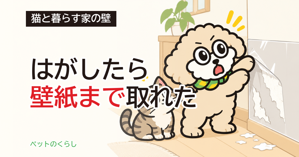 猫の爪研ぎシート｜はがせる保護シートが貼れない壁