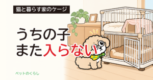 猫がケージに入らない｜嫌がる前に見直す置き場所と中身