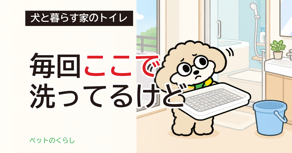 犬のトイレの水洗い|トレーを洗う場所と流す先