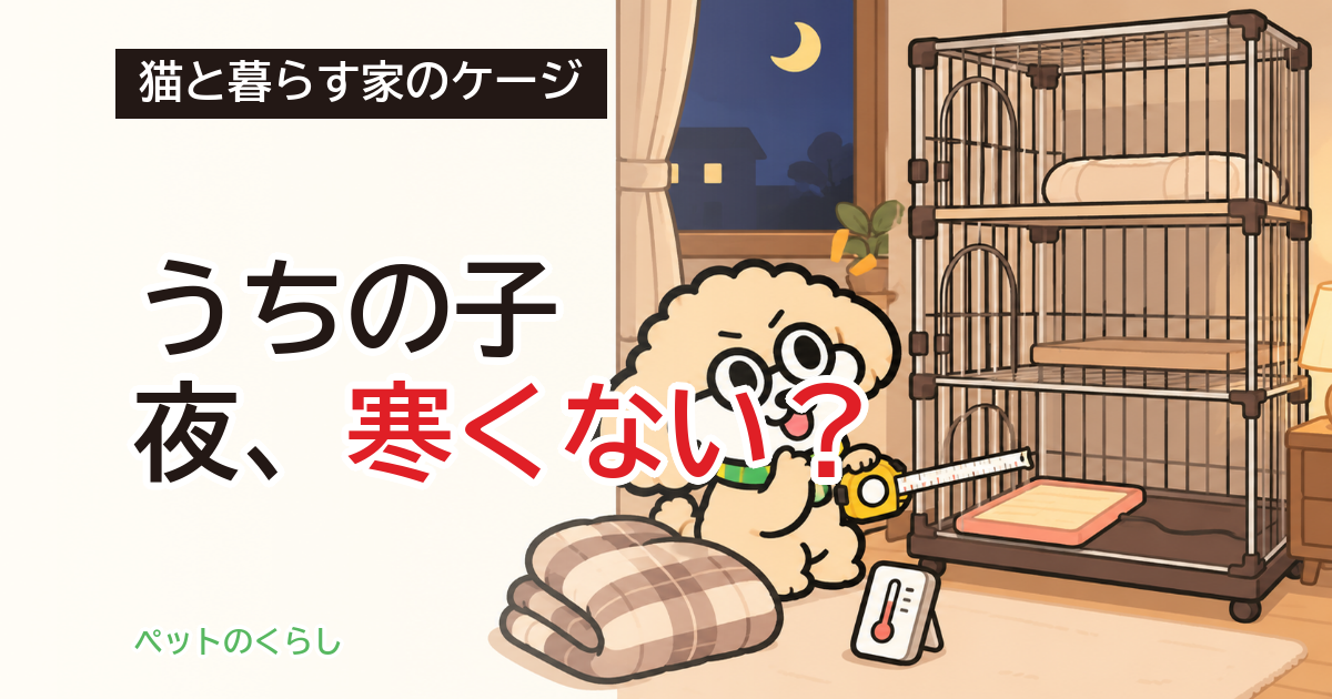 猫のケージ、夜は寒い？冬のヒーターの大きさと敷き方